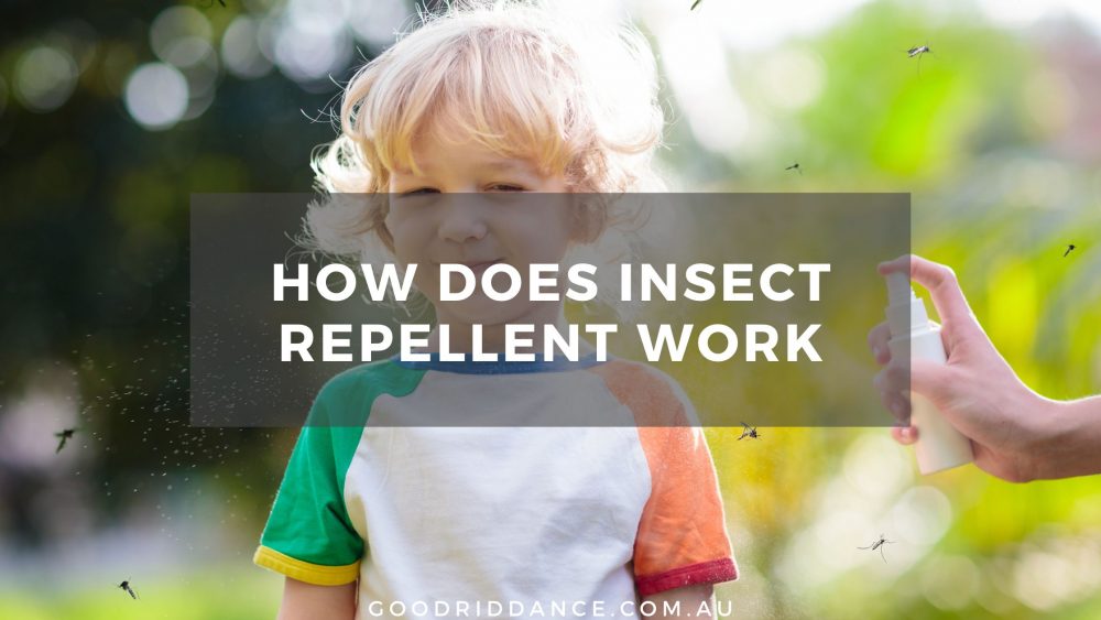 How does insect repellent work
