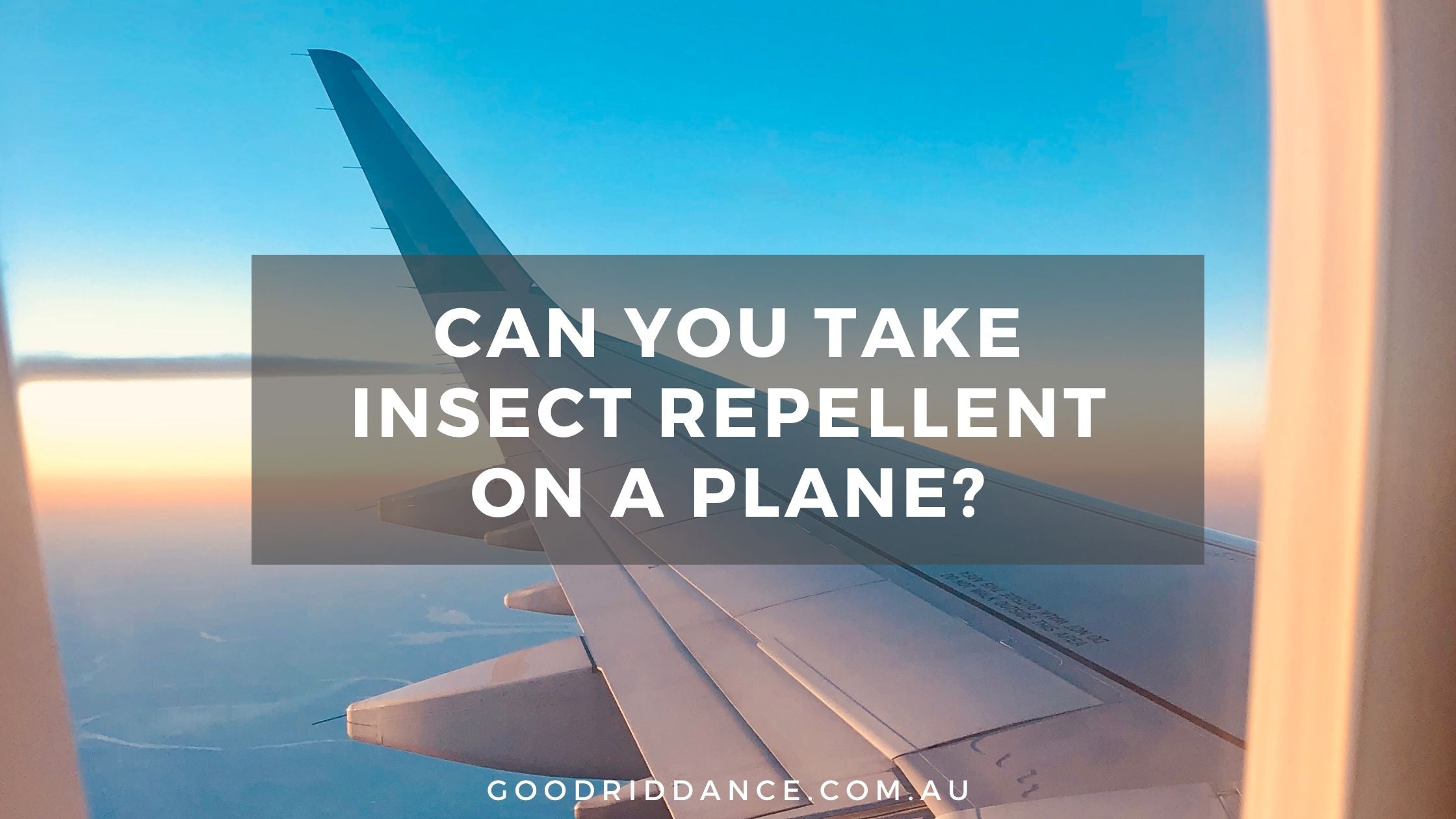 Plane Insect Can you take insect repellent on a plane? | Good Riddance