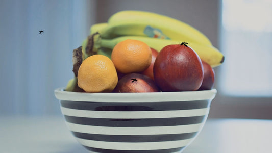 Fruits that attract mosquitoes