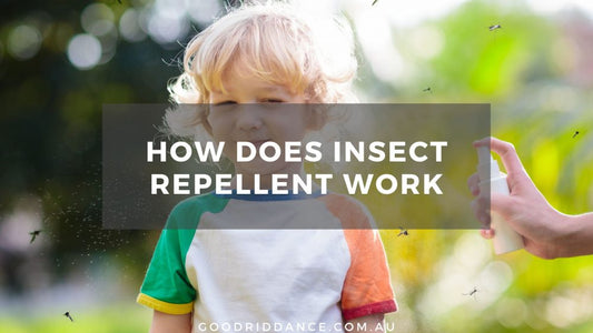 How does insect repellent work