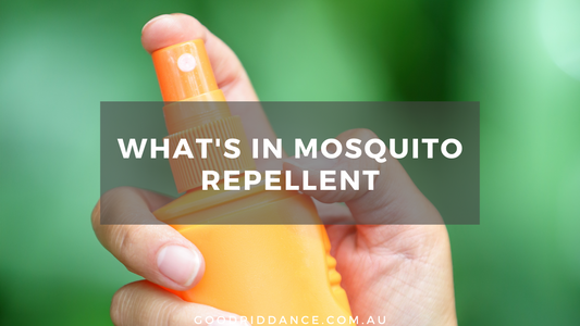 What's in mosquito repellent