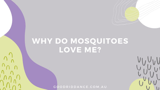 Why do mosquitoes love me