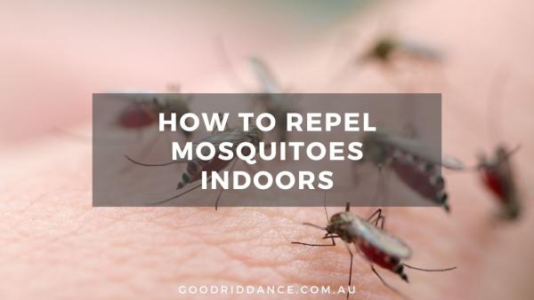 How to repel mosquitoes indoors