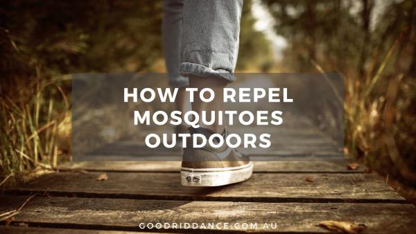 How to Repel Mosquitoes Outdoors