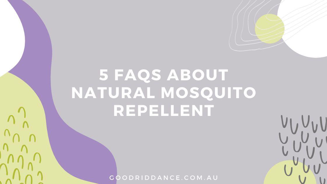 5 questions and answers about natural mosquito repellent
