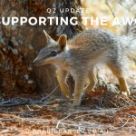 Our Q2 donation to the Australian Wildlife Conservancy