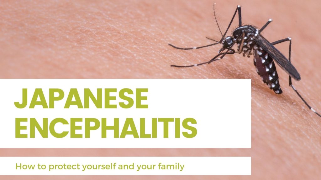 Japanese Encephalitis protection