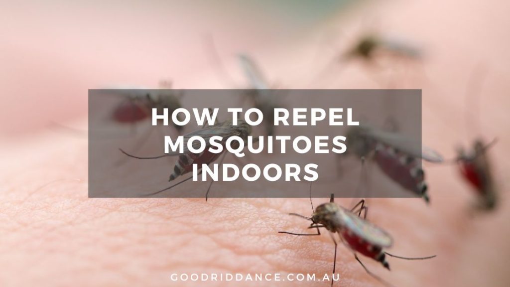 how to repel mosquitoes indoors