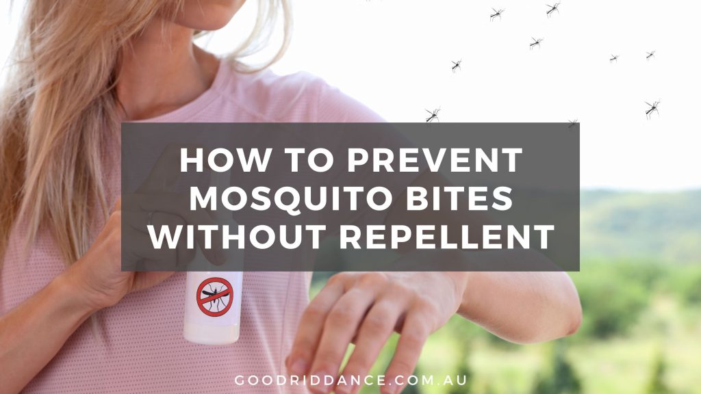 how to prevent mosquito bites without repellent